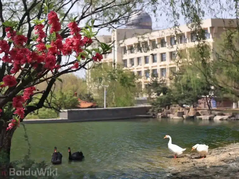 Đại học Thái Sơn