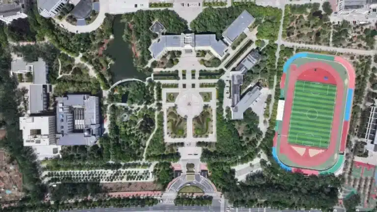 Đại học Thái Sơn