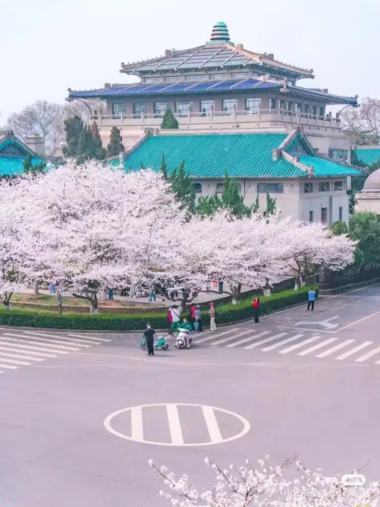 Đại học vũ hán