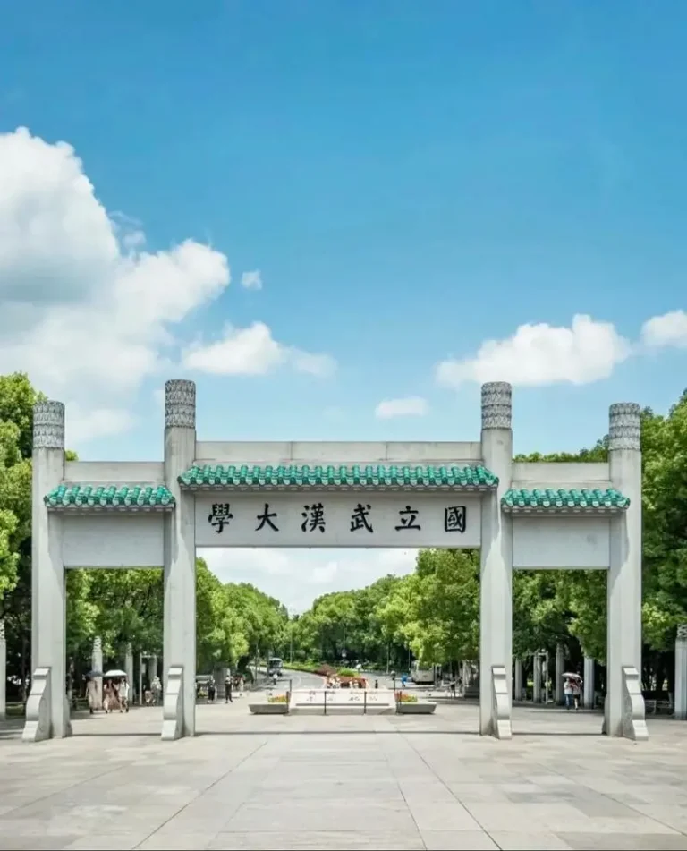 Đại học vũ hán