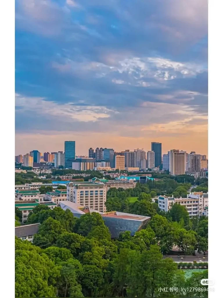 Đại học vũ hán