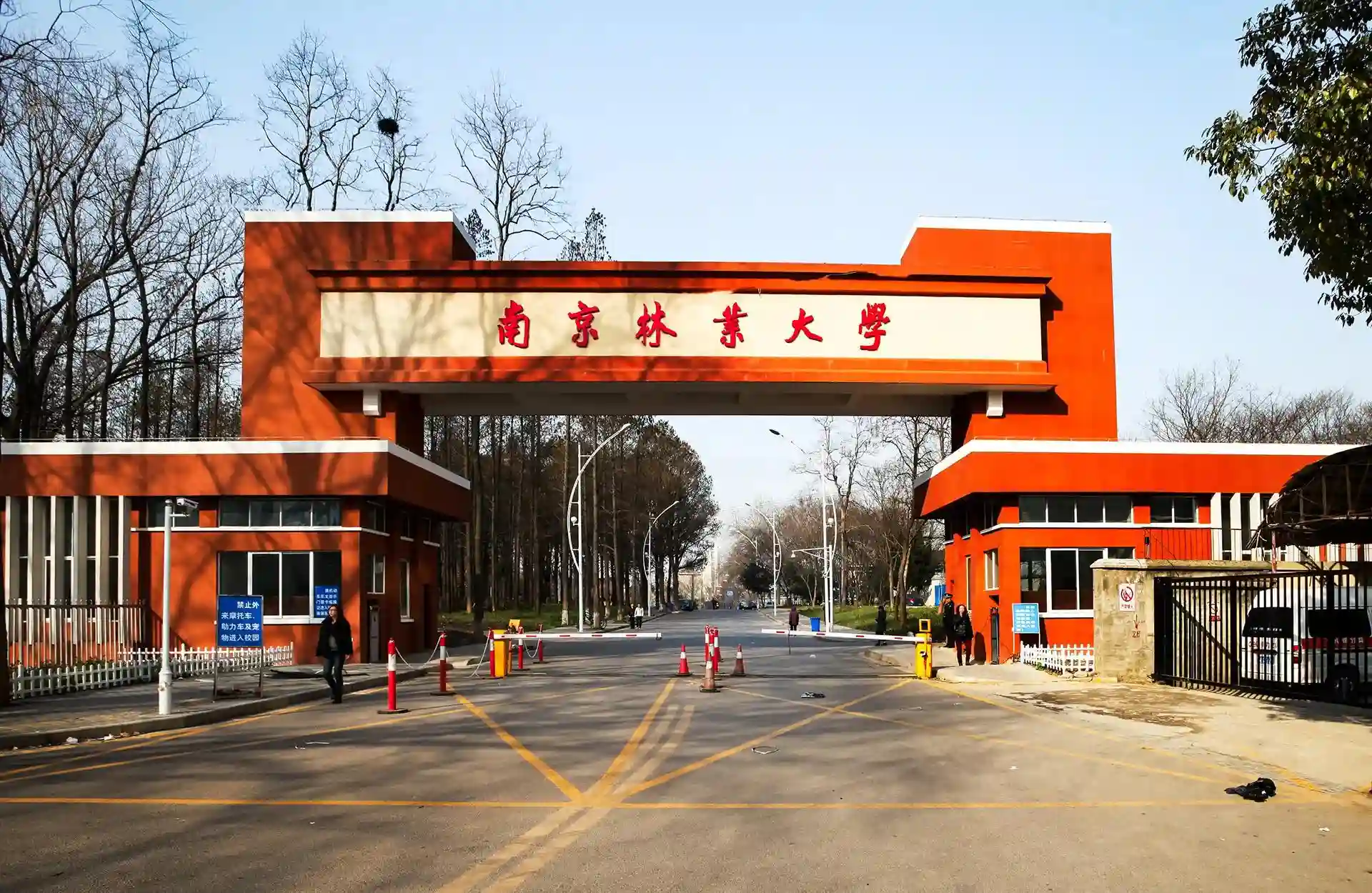 Đại học Lâm nghiệp Nam Kinh